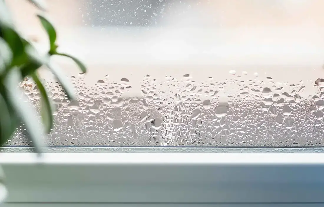Kondensbildning på fönstret
