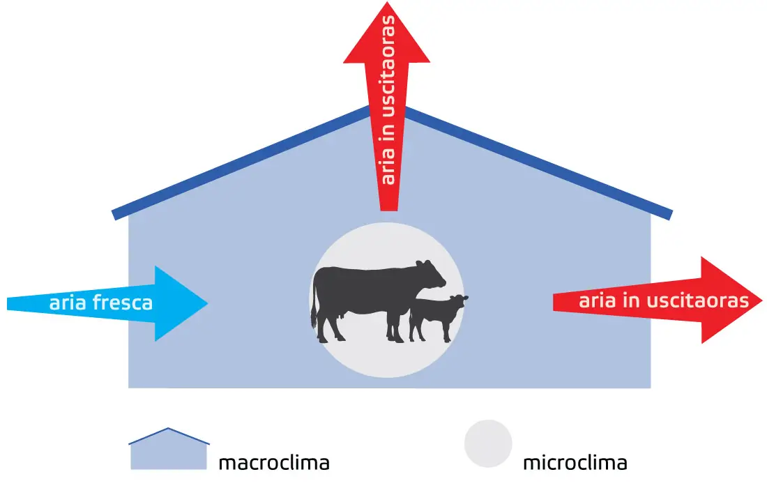 Immagine del micro e macroclima nella stalla