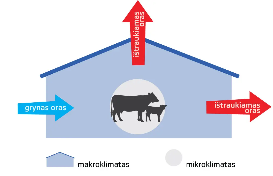 Mikro- ir makroklimato vaizdas tvartelyje