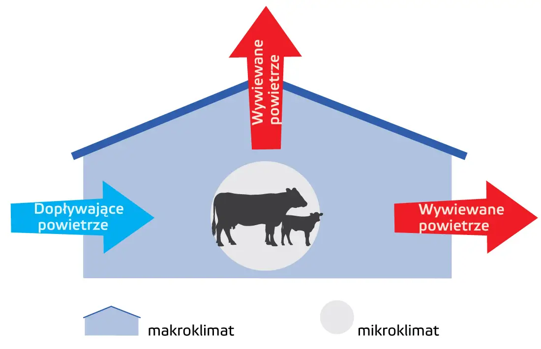 Obraz biura w pomieszczeniu