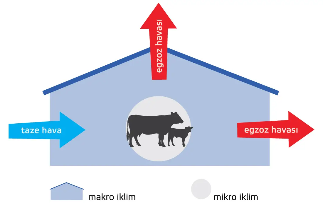 Ofis iç mekan görüntüsü