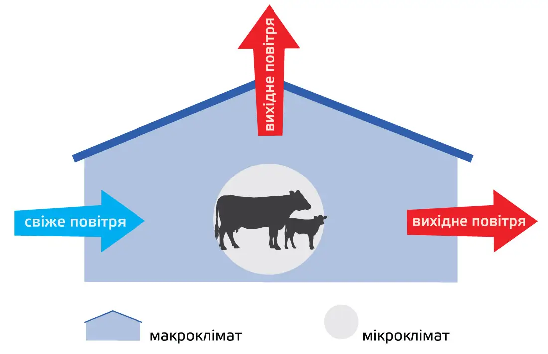 Зображення офісу