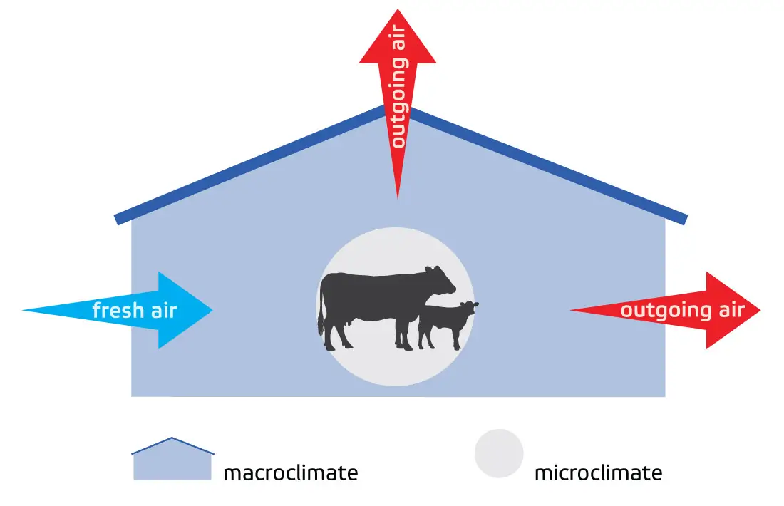 Image of the micro and macroclimate in the barn