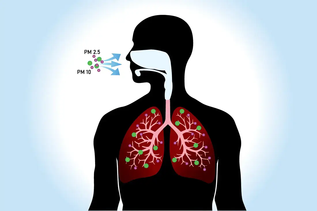 Partikelmaterial bild